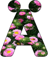 Deko-Buchstaben-Blumen_Ä.jpg